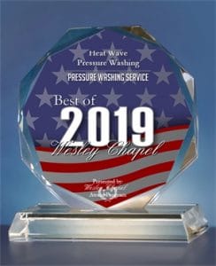 2019 Best of Wesley Chapel Award