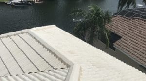 Heat Wave Roof Cleaning