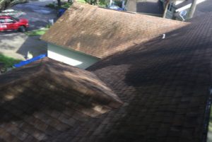 Roof Dirty