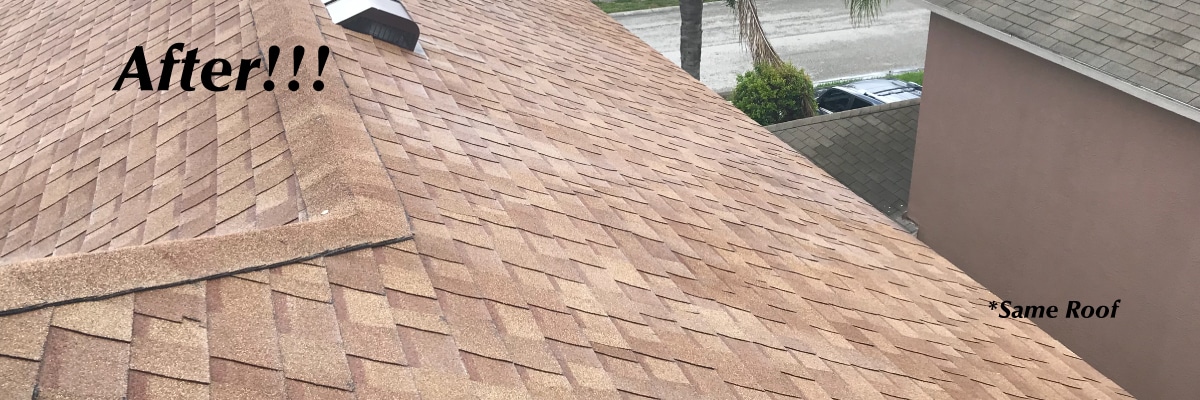 Roof Cleaning