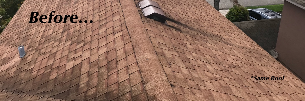 Roof Cleaning