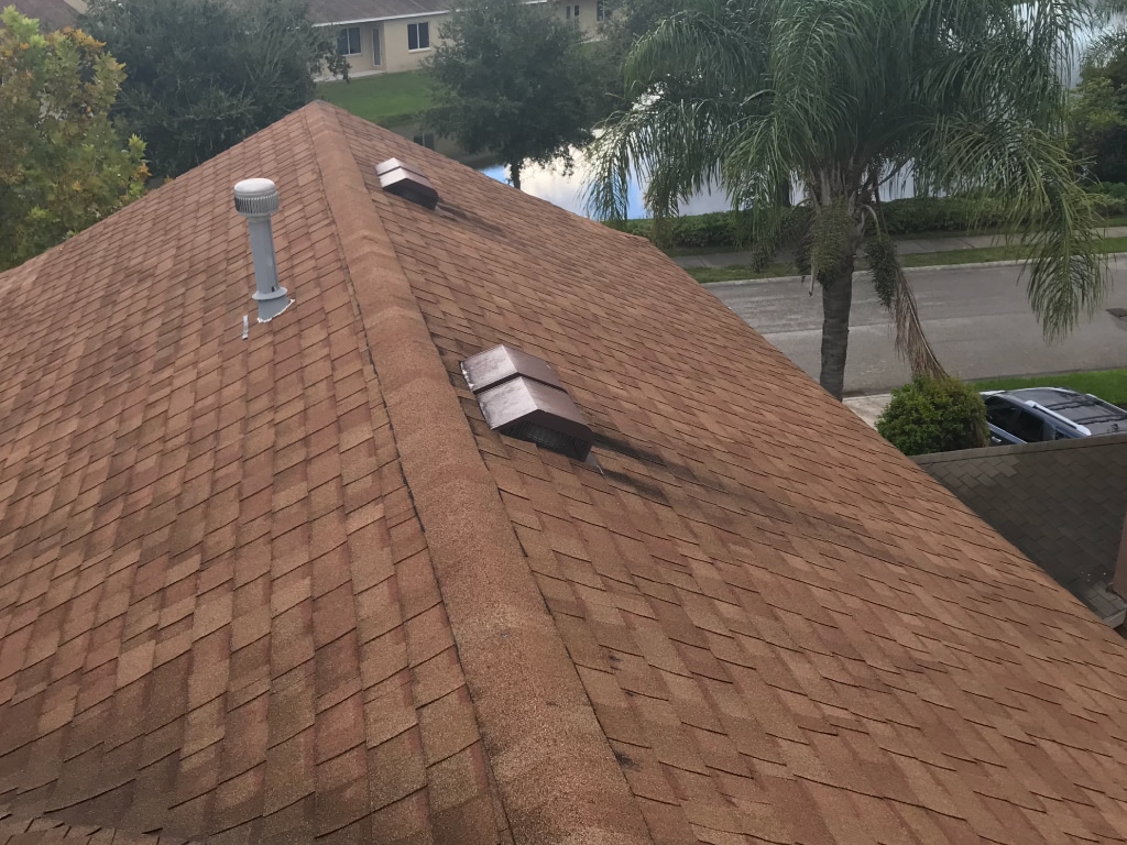 Roof Cleaning Special
