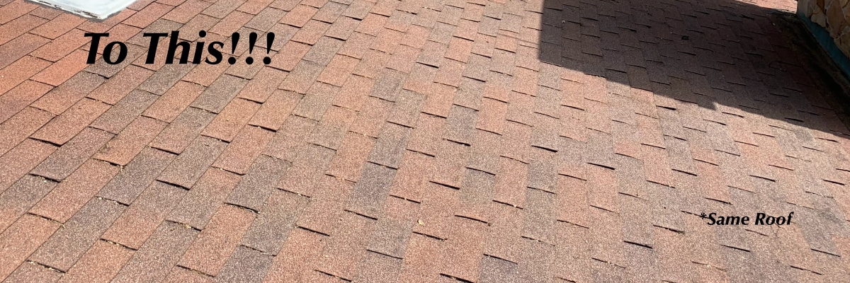 roof cleaning - go to